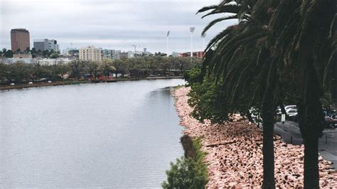 naked shoot 2023|Spencer Tunick set to take his next large